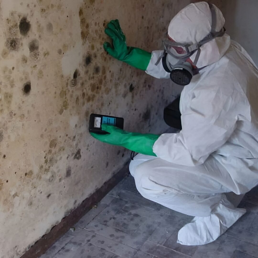 Person inspecting mold on wall in protective gear.