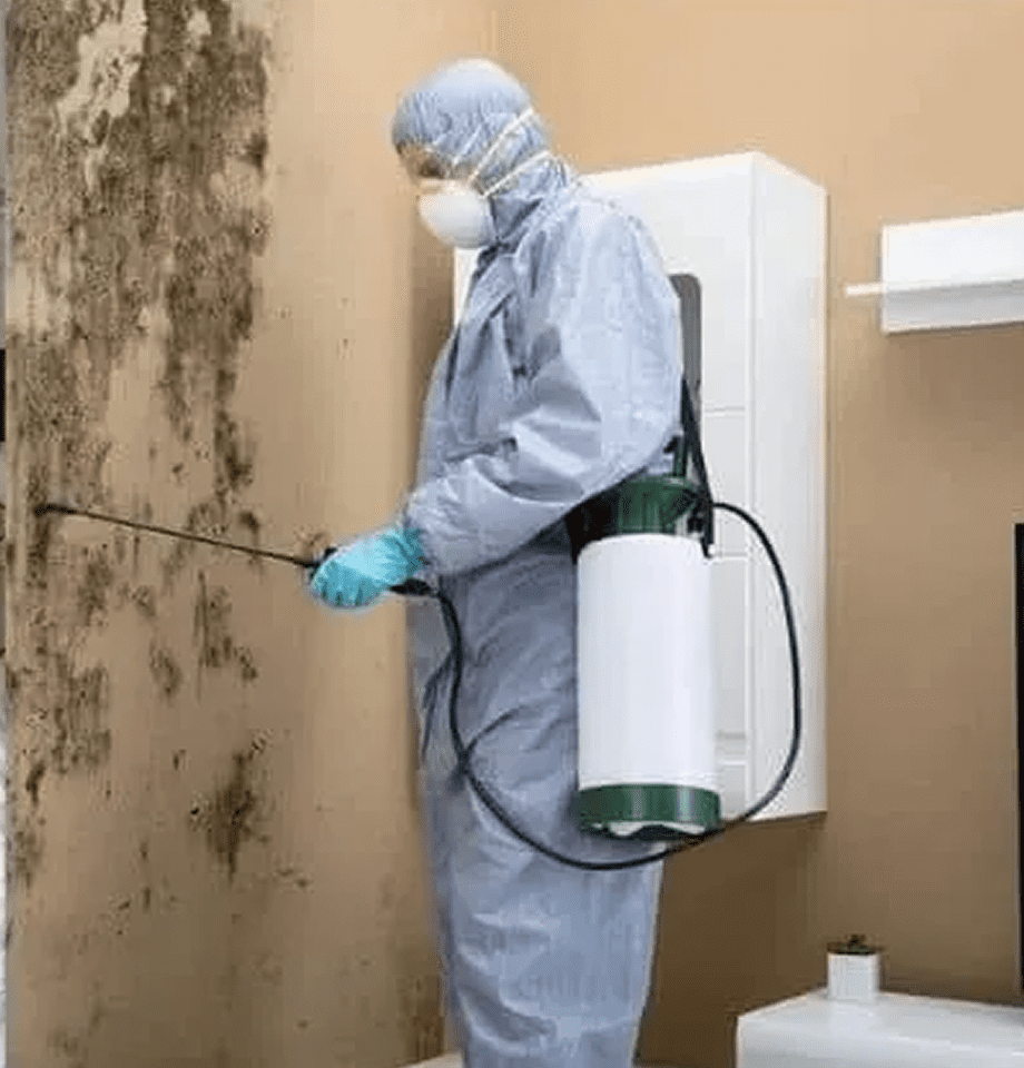 Person removing mold from a wall.