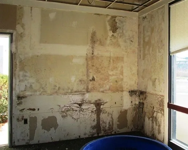 Moldy, damaged wall in an empty room.