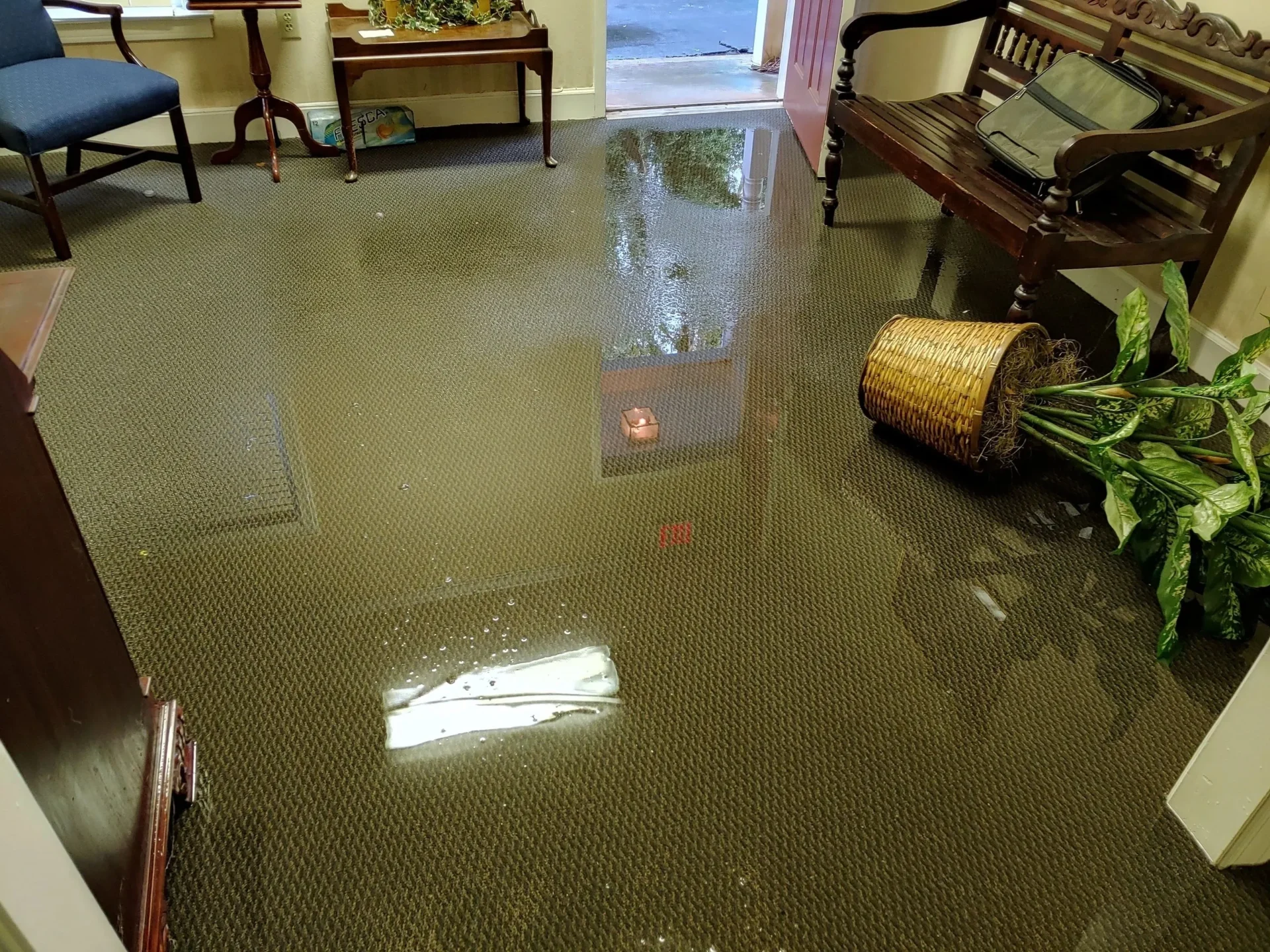 Flooded room with fallen potted plant.